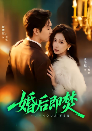 婚后即焚（77集）一起看短剧