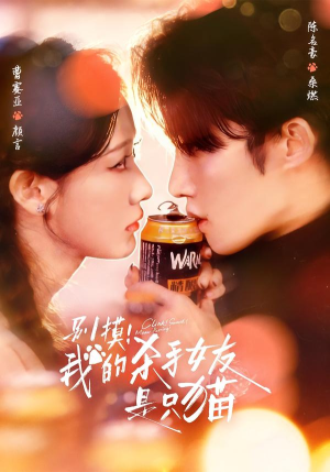 别摸！我的杀手女友是只猫（60集）全网独播免费看