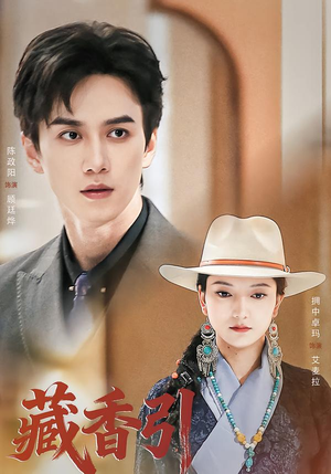 藏香引（63集）在线播放