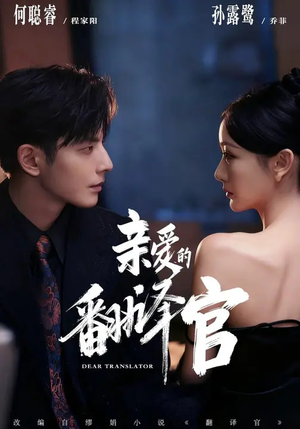 亲爱的翻译官(60集) 亲爱的翻译官(60集)经典老剧免费看
