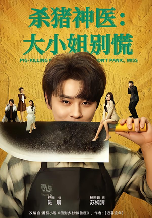杀猪神医，大小姐别慌（80集）好看短剧追不停