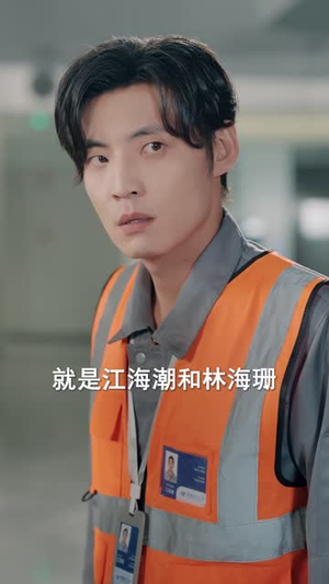 停飞后，我的航班坠毁了（100集）完整版免费观看