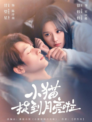 小猫捉到月亮啦（80集）免费短剧看不停