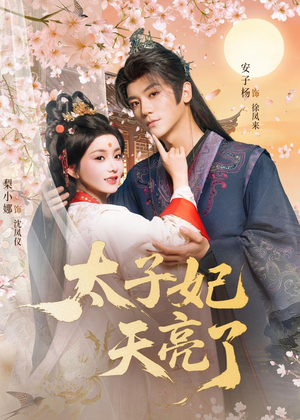 太子妃天亮了(80集) 太子妃天亮了(80集)演员表