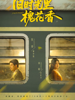 旧时光里槐花香（70集）最热短剧抢先看