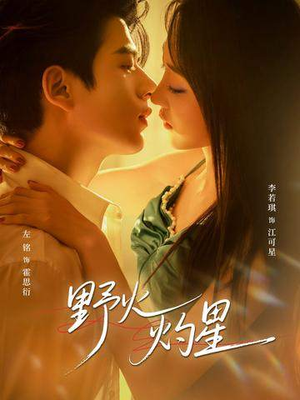 野火灼星（56集）短视频追剧推荐