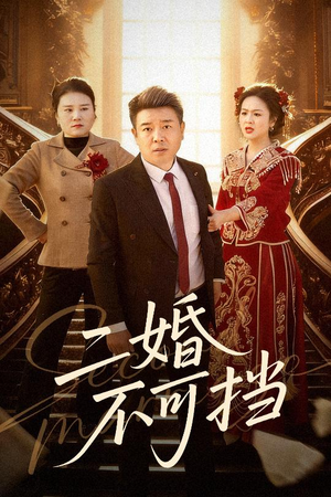 二婚不可挡（36集）看精彩短剧