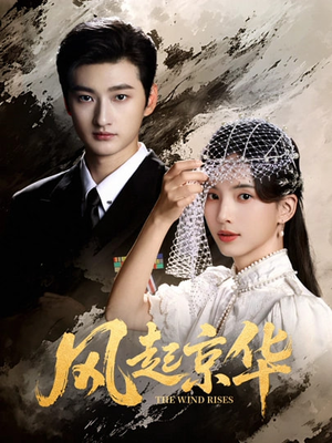 风Q京华（60集）在哪看是免费的