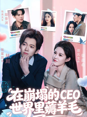 在崩塌的CEO世界里薅羊毛（70集）演员表