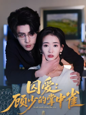 囚爱：顾少的掌中雀（70集）最近很火的短剧