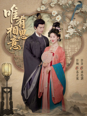 唯有相思意(100集) 唯有相思意(100集)精彩短剧合集