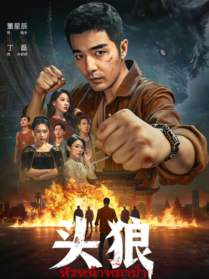 头狼(77集) 头狼(77集)热播短剧全集看