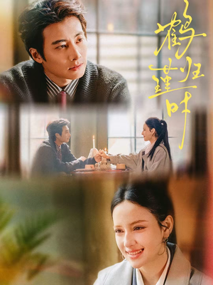 鹤归瑾时（81集）古装短剧推荐