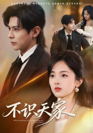 不识天家（69集）好看吗