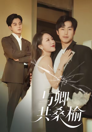 与卿共桑榆(63集) 与卿共桑榆(63集)好看短剧抢先看