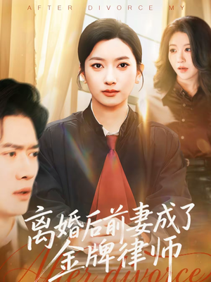 离婚后前妻成了金牌律师（94集）大结局