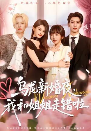 乌龙新婚夜，我和姐姐走错啦（59集）最火爆的短剧