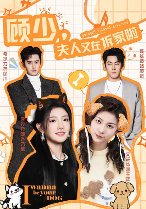 顾少，夫人又在拆家啦（78集）高质量短剧推荐