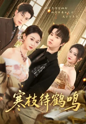 寒枝待鹤鸣(70集) 寒枝待鹤鸣(70集)演的怎么样