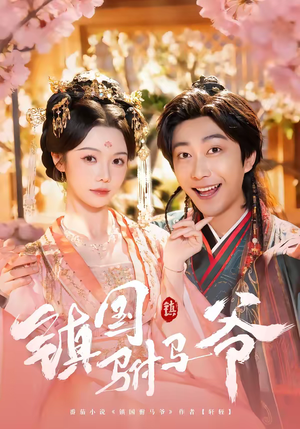 镇国驸马爷（92集）男主角是谁