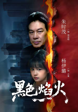 黑色焰火（41集）哪个短剧网能看