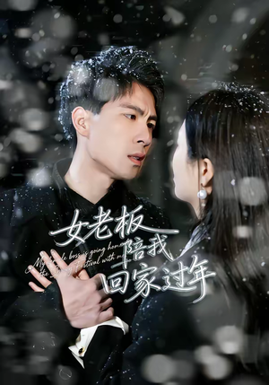 女老板陪我回家过年（40集）超火短剧抢先看