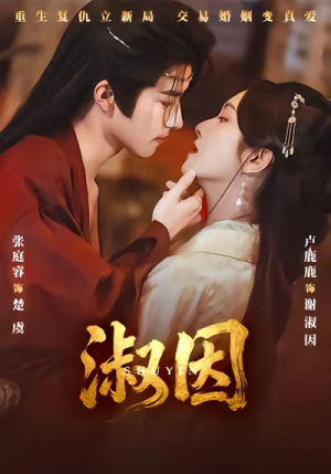 淑因(65集) 淑因(65集)全集下载