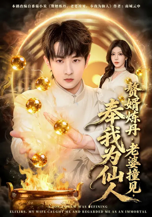 赘婿炼丹，老婆撞见，奉我为仙人（59集）好看吗