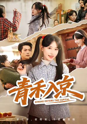 青禾入京（60集）更新时间