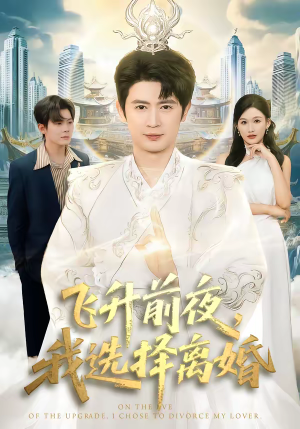 飞升前夜，我选择离婚（80集）流畅播放免费看