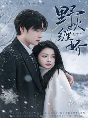 野火缠娇（66集）全集在线看