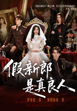 假新郎是真良人（67集）免费短剧资源