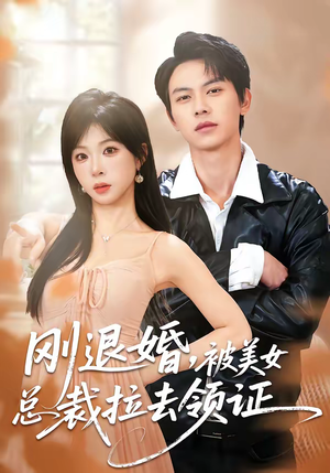 刚退婚，被美女总裁拉去领证（81集）精彩短剧分享