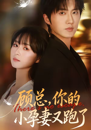 顾总，你的小孕妻又跑了（47集）一起看短剧
