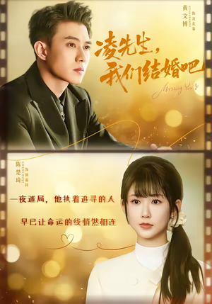 凌先生，我们结婚吧（68集）全集免费看短剧