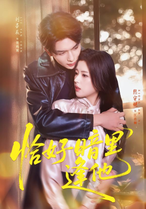 恰好暗里逢他（66集）爆款热门短剧