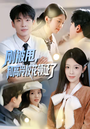 刚被甩，和高冷校花领证了（67集）80到100集