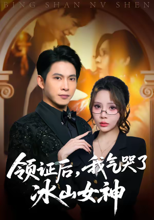 领证后，我气哭了冰山女神（60集）全集