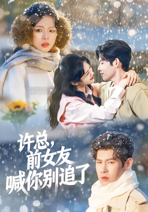 许总,前女友喊你别追了(80集) 许总,前女友喊你别追了(80集)短剧中追到爽