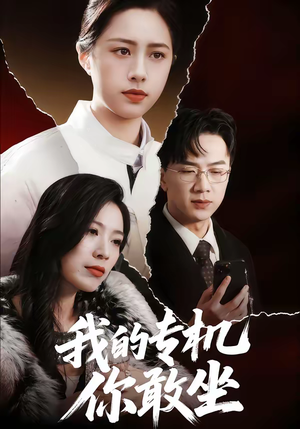 我的专机你敢坐(62集) 我的专机你敢坐(62集)最新火爆短剧