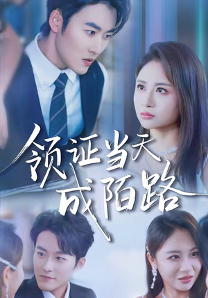 领证当天成陌路（39集）第32集