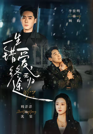 一生错爱,终无归途(74集) 一生错爱,终无归途(74集)精彩短剧追不停