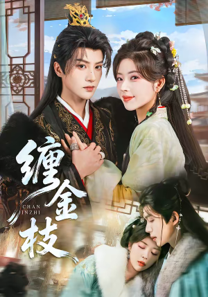 缠金枝（69集）短剧解说热门