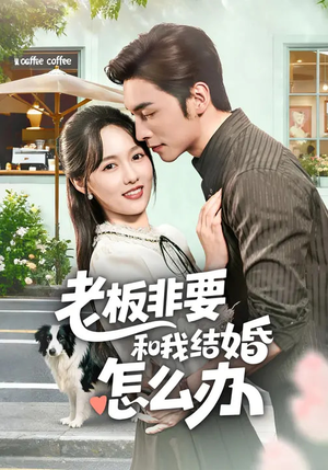 老板非要和我结婚怎么办（50集）一起追生活短剧
