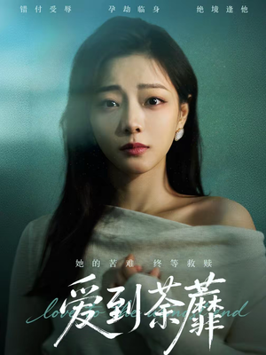 爱到荼蘼（63集）追短剧关注我