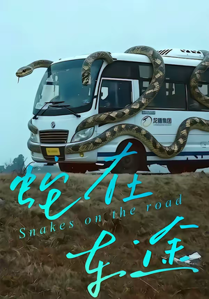 蛇在车途(34集) 蛇在车途(34集)短剧追不停