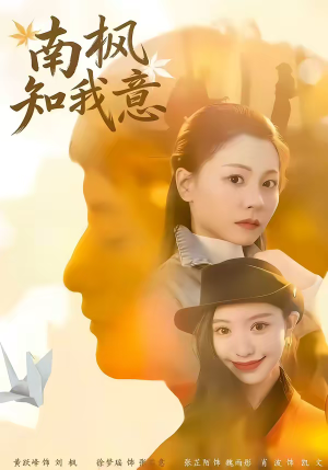 南枫知我意（41集）爆款热门短剧