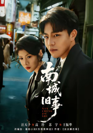 南城旧事（80集）精彩短剧随心推