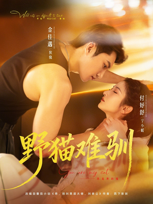 野猫难驯（73集）短剧抢先看全集