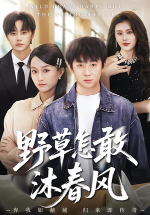 野草怎敢沐春风（61集）免费短剧合集
